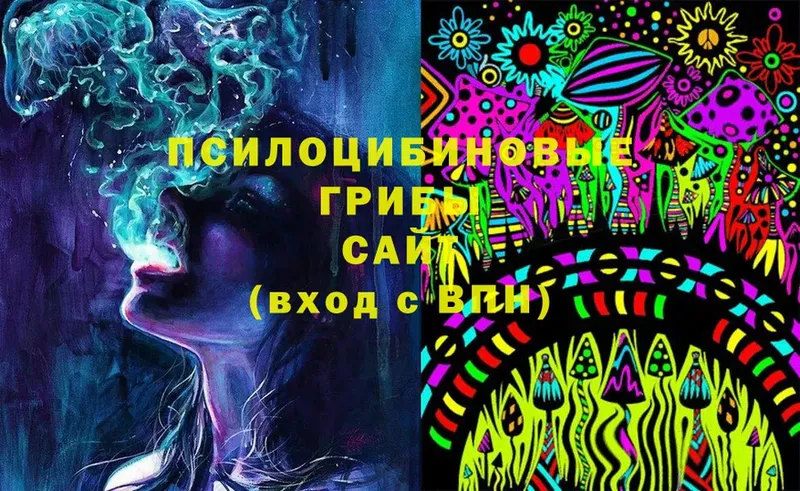 Галлюциногенные грибы MAGIC MUSHROOMS  Кингисепп 